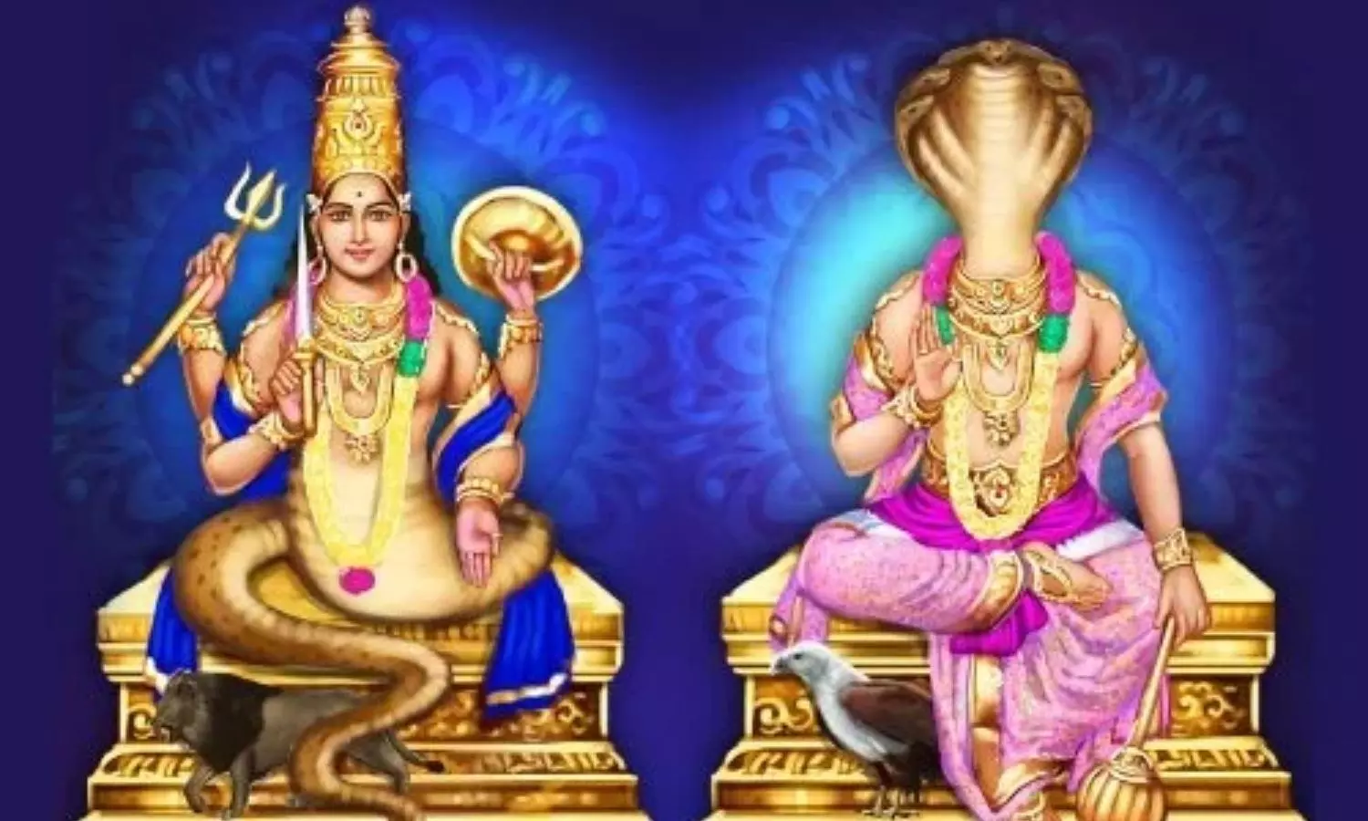 Kaal Sarp Dosha: వివాహాలు ఆలస్యమవ్వడానికి కాలసర్పదోషాలే కారణమా?  పండితులు ఏం చెబుతున్నారంటే