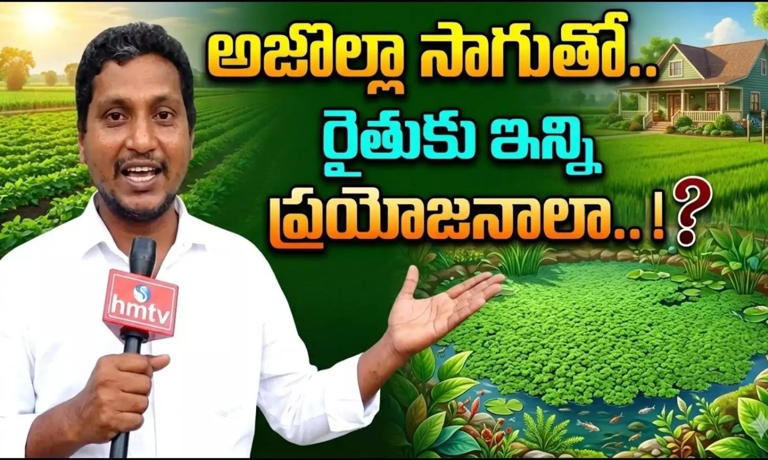 Azolla Farming Benefits