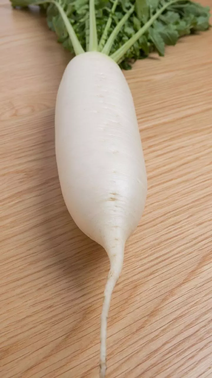 Radish: డయాబెటిస్ బాధితులు ముల్లంగి తింటే షుగర్ లెవెల్స్ అదుపులో ఉంటాయా? Radish: డయాబెటిస్ బాధితులు ముల్లంగి తింటే షుగర్ లెవెల్స్ అదుపులో ఉంటాయా?