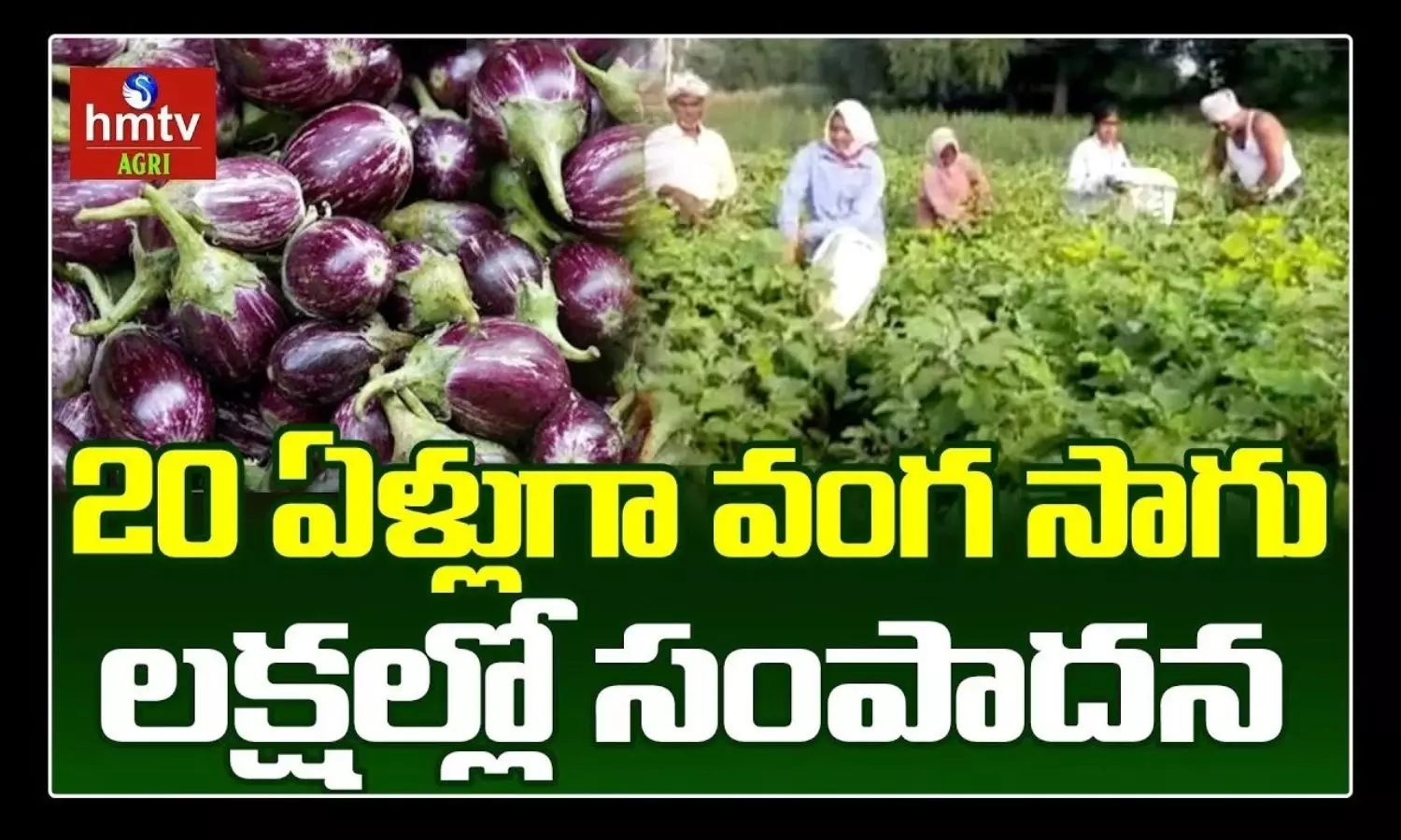 Organic Farming