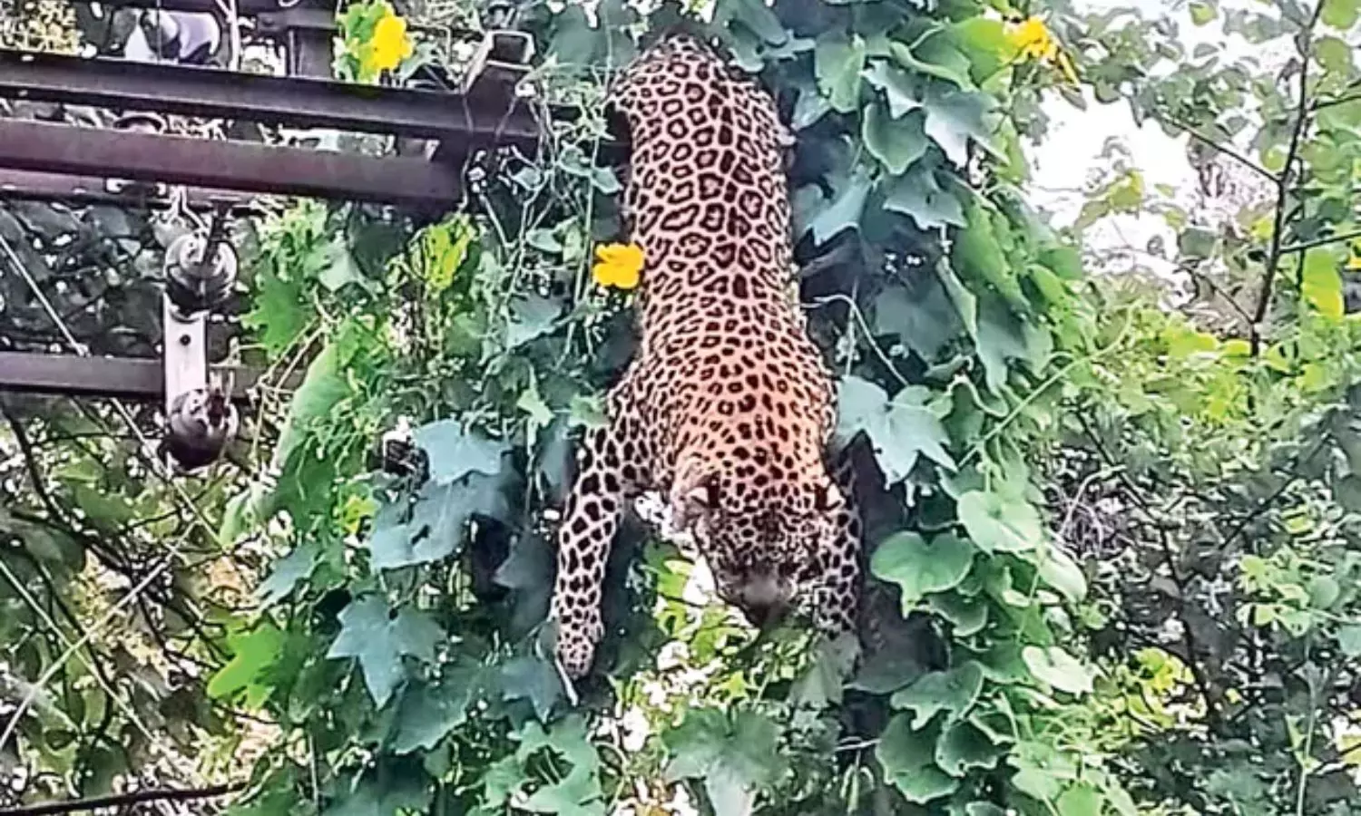 Maharashtra Maharashtra