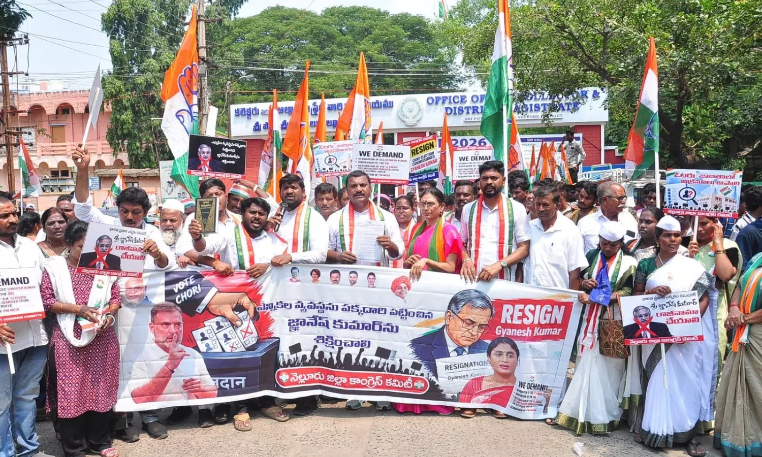 Nellore Nellore