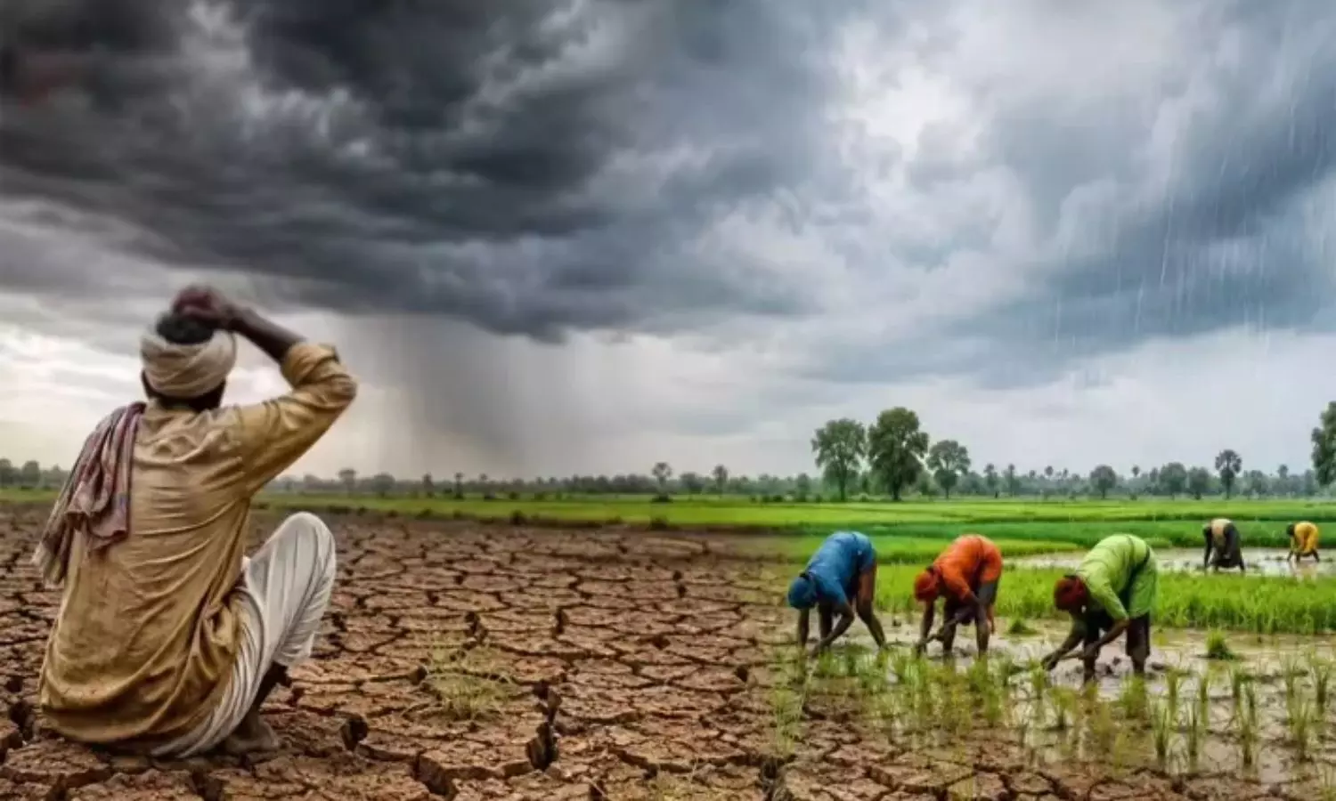 వర్షాలు తక్కువ.. ఎల్నినో ప్రభావం ఎక్కువ! రబీ సాగుపై రైతుల్లో ఆందోళన వర్షాలు తక్కువ.. ఎల్నినో ప్రభావం ఎక్కువ! రబీ సాగుపై రైతుల్లో ఆందోళన