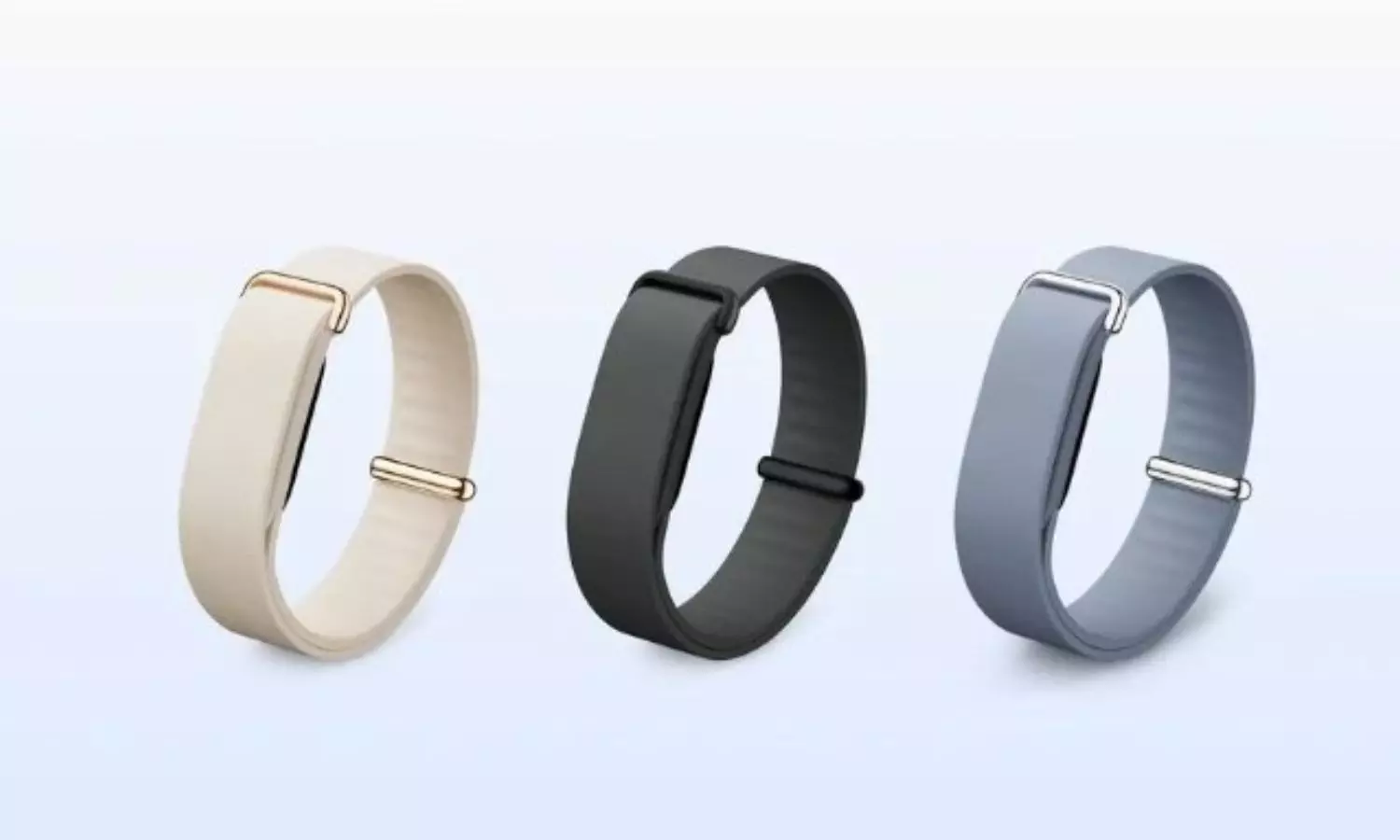Google Fitbit Air