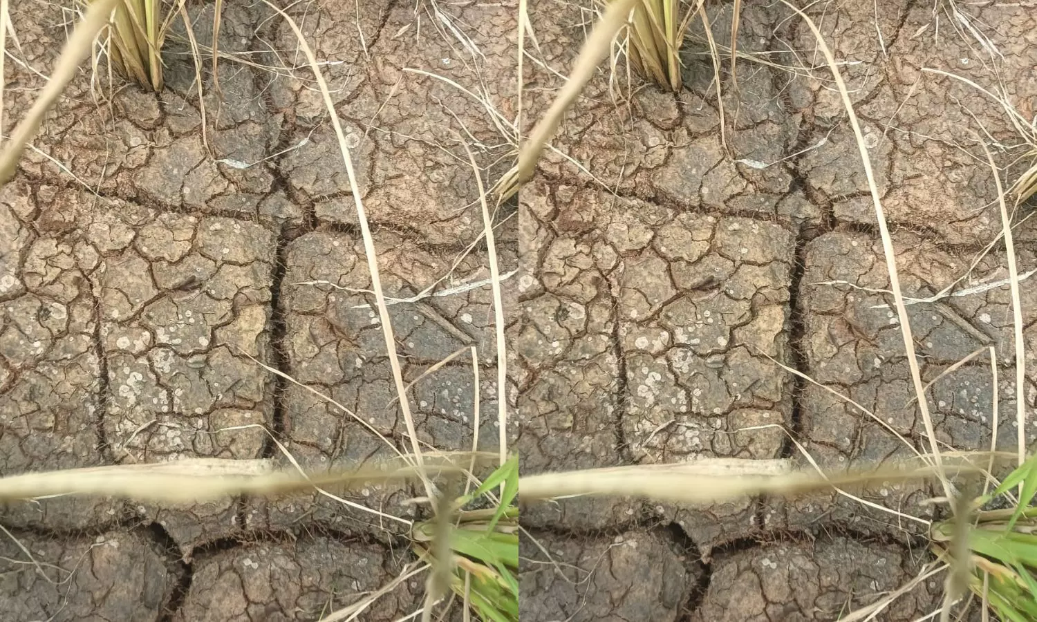 Sangareddy