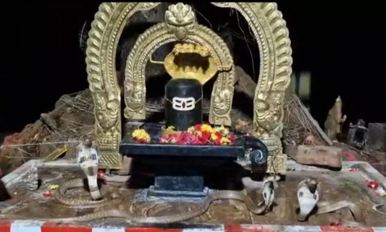 Nellore Nellore