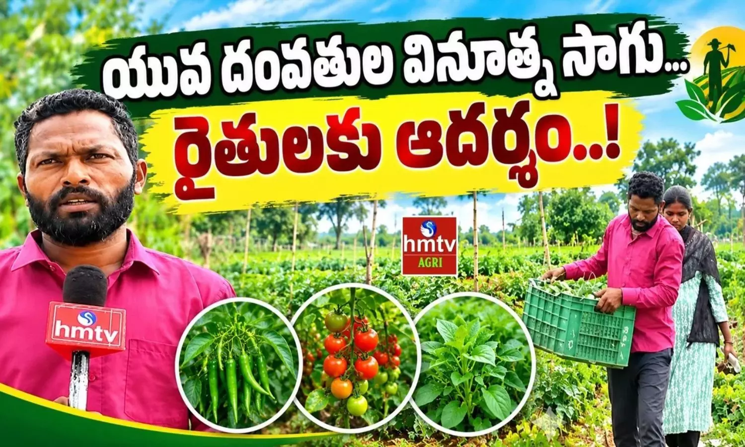 యువ దంపతుల వినూత్న సాగు.. రైతులకు ఆదర్శంగా నిలుస్తున్న సక్సెస్ స్టోరీ! యువ దంపతుల వినూత్న సాగు.. రైతులకు ఆదర్శంగా నిలుస్తున్న సక్సెస్ స్టోరీ!