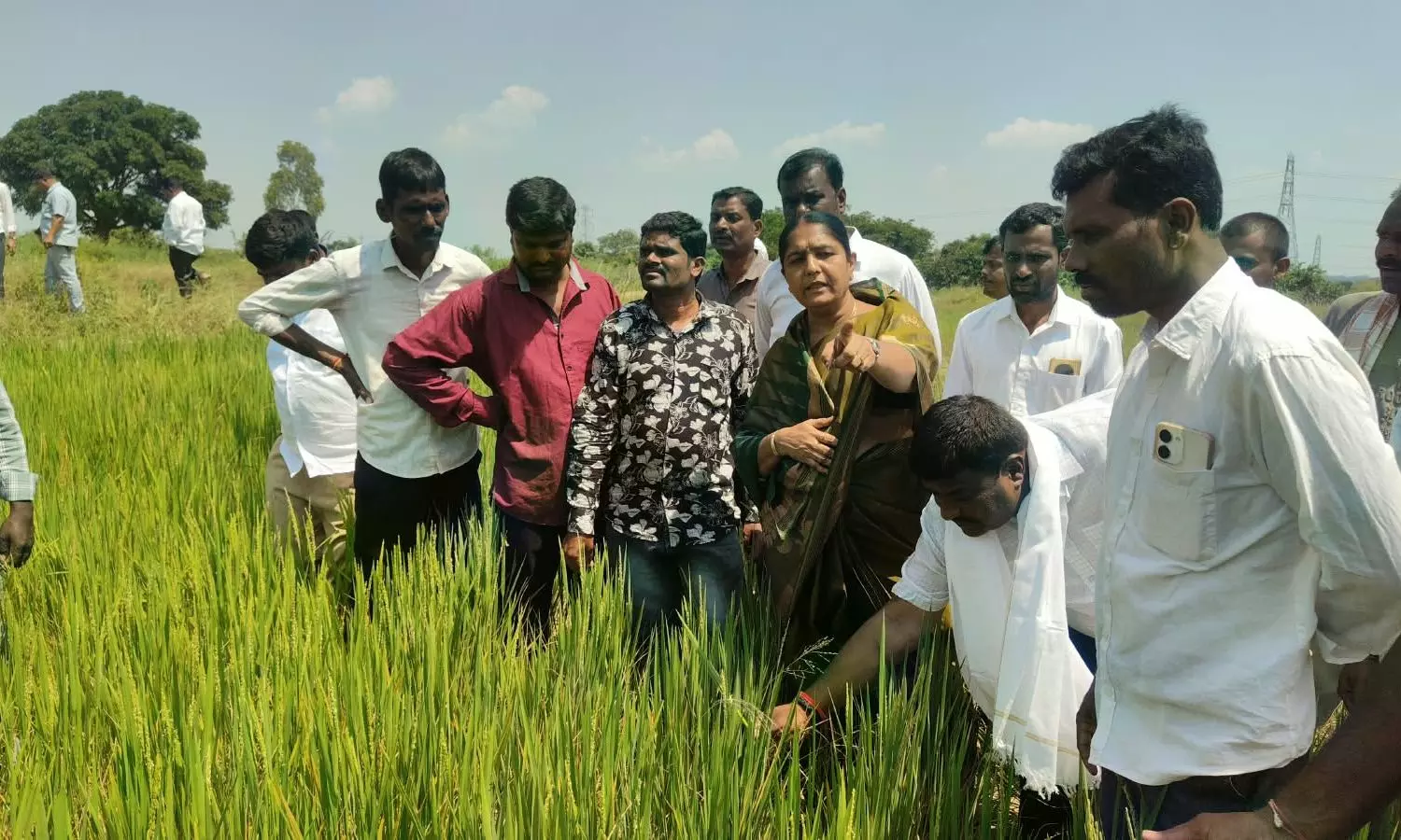 Narsapur