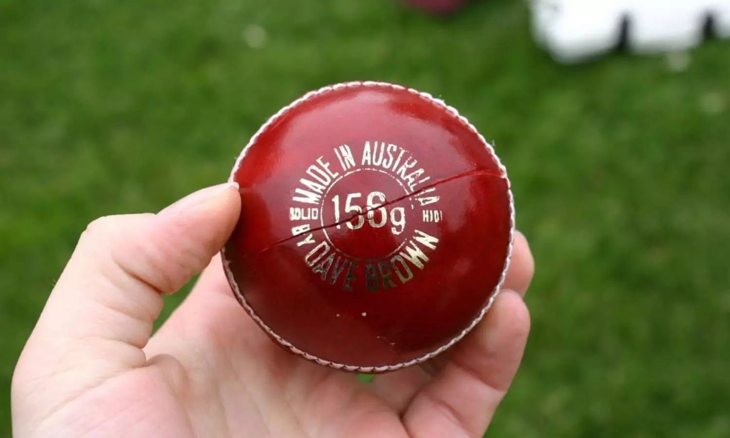 Cricket