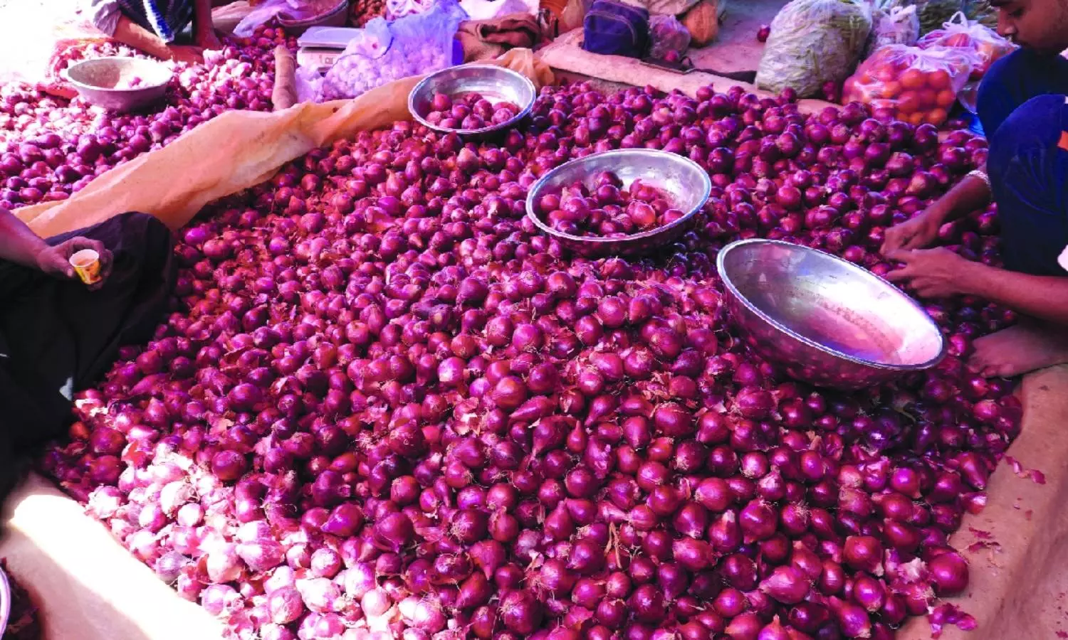 Onion Prices Onion Prices