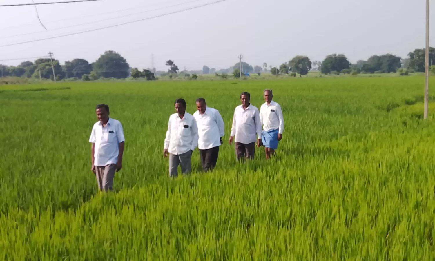 Husnabad Husnabad