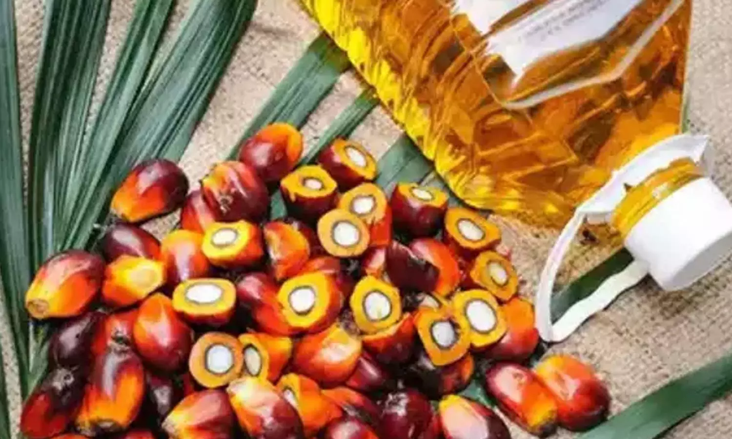 Palm Oil