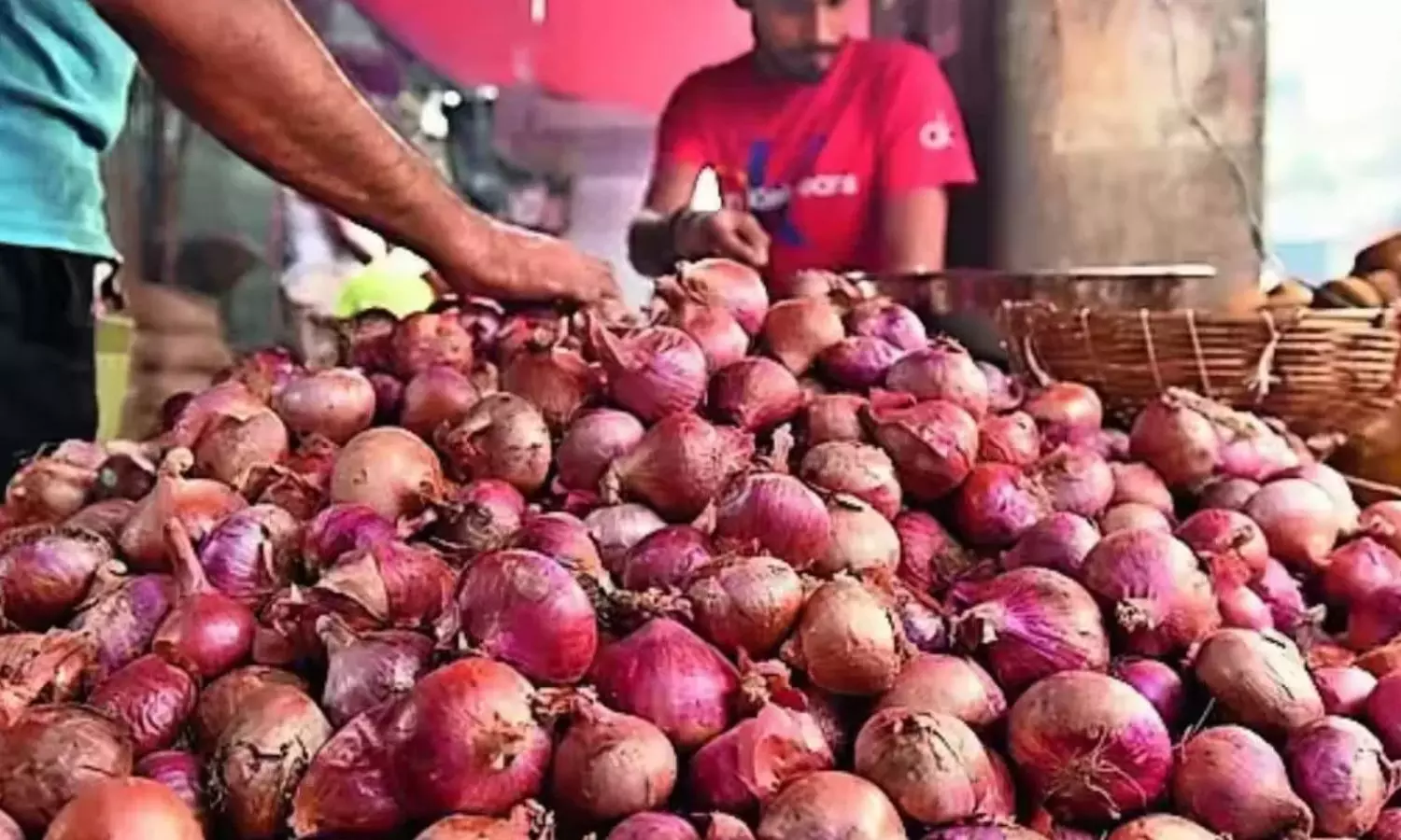 Onion Prices Onion Prices