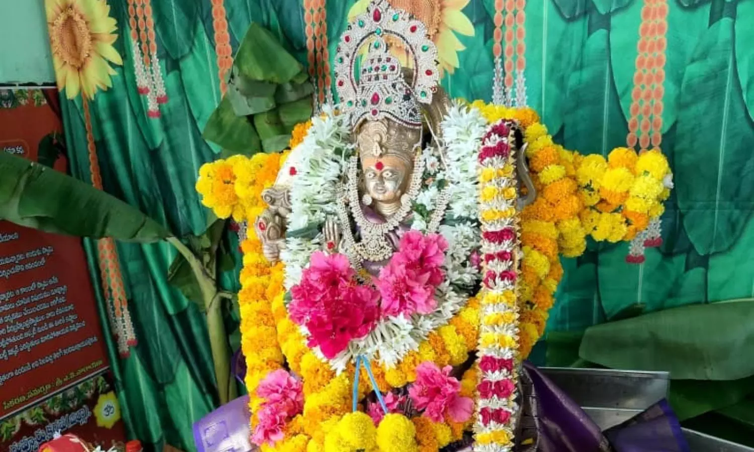 Duvvuru Duvvuru