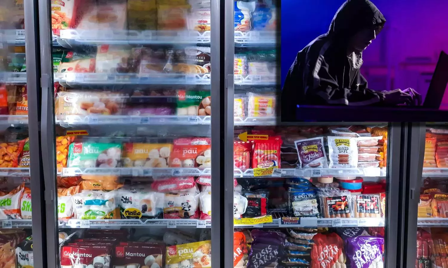 Fridge Hacking