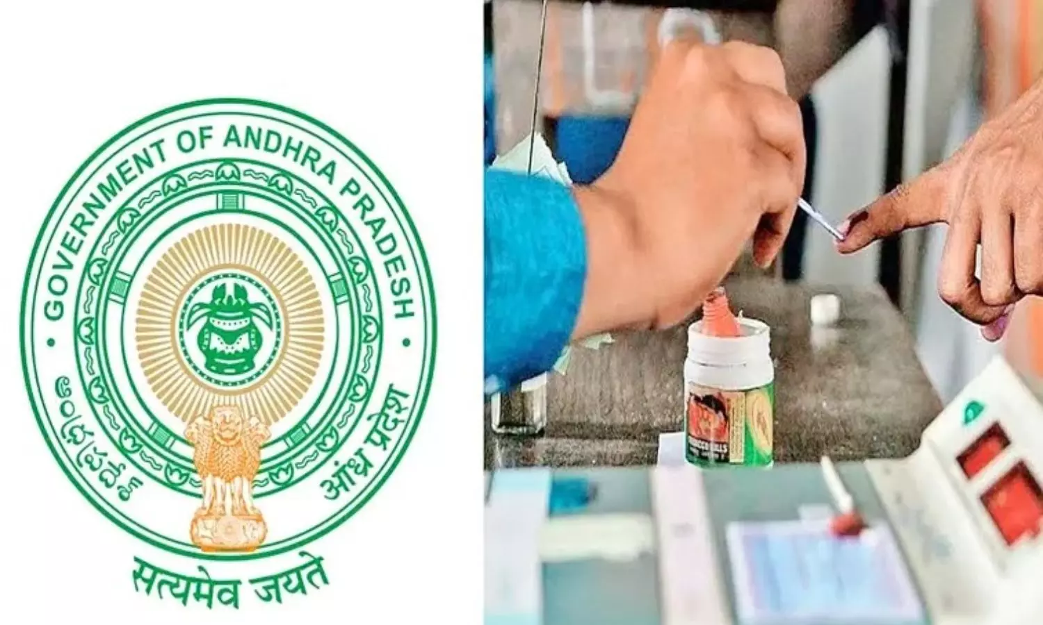 Local Body Elections