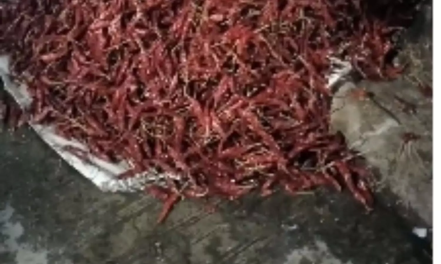 Nalgonda Nalgonda