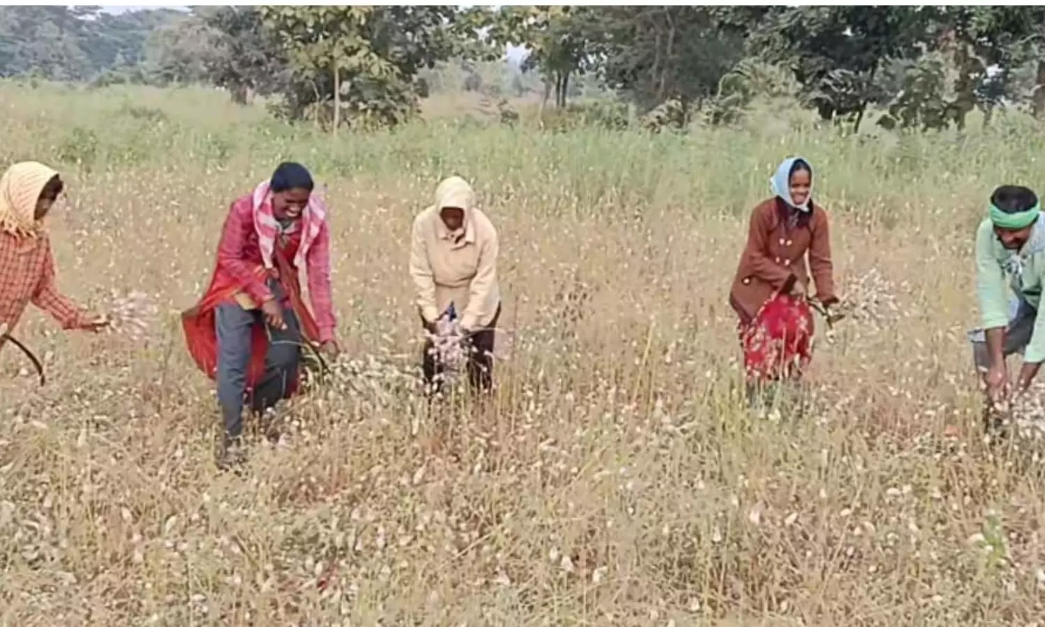 Adilabad