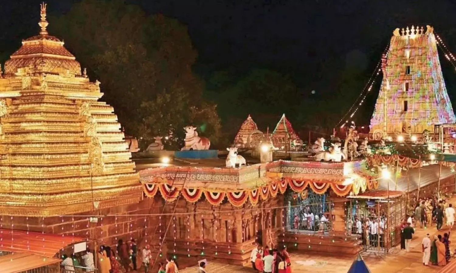 Srisailam: దసరా స్పెషల్ః శ్రీశైలంలో మల్లికార్జునుడి ఆవిర్భావం...కార్తికేయుడి వివాహంతో ముడిపడిన గిరులు Srisailam: దసరా స్పెషల్ః శ్రీశైలంలో మల్లికార్జునుడి ఆవిర్భావం...కార్తికేయుడి వివాహంతో ముడిపడిన గిరులు