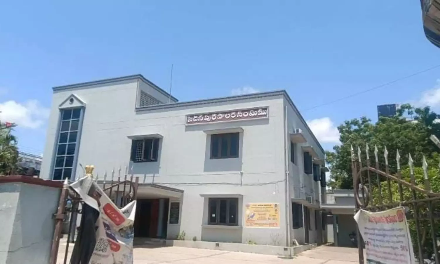 Pedana