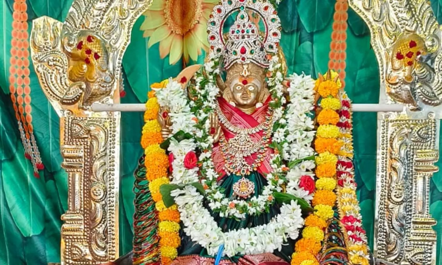 Duvvuru Duvvuru