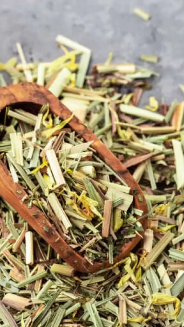 Health Tips: సర్వ రోగాలకు నివారిణి లెమన్ గ్రాస్.. దీని స్పెషాలిటీ ఏంటో తెలుసా.?