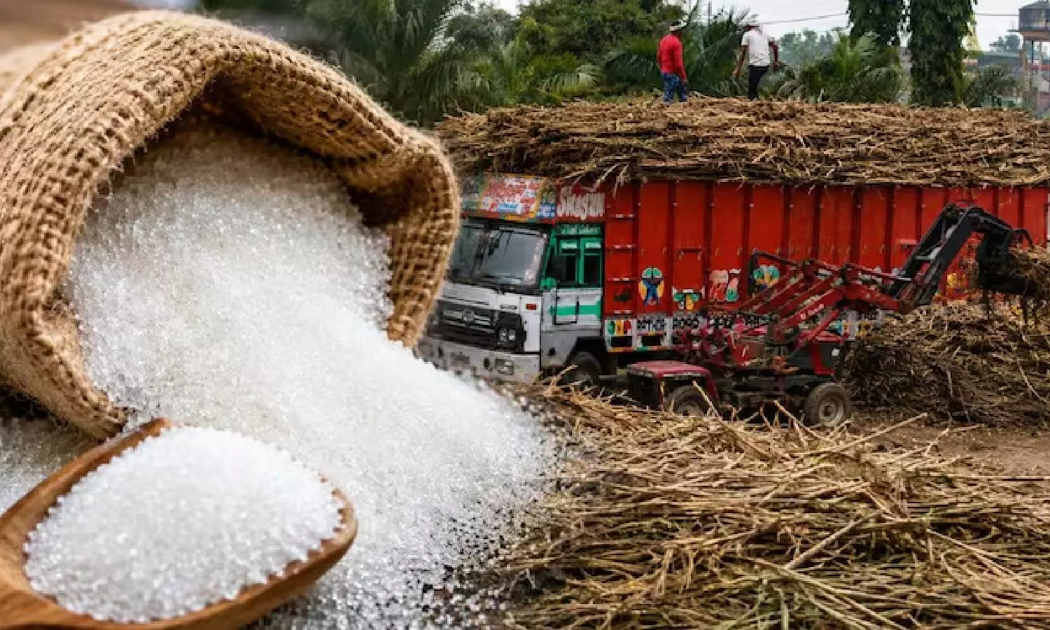Sugar Price Sugar Price