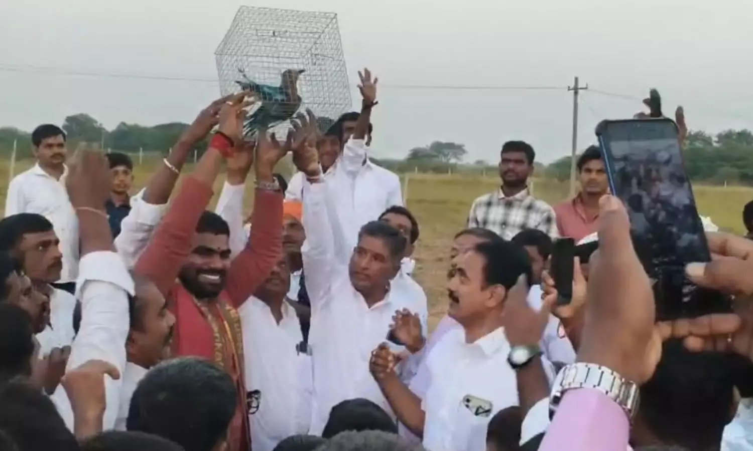 Sangareddy
