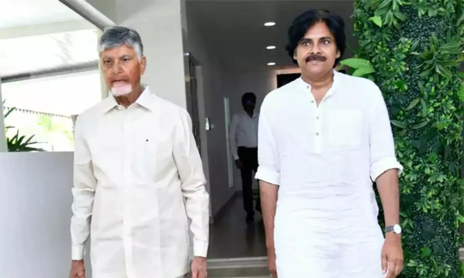 AP Local Body Elections