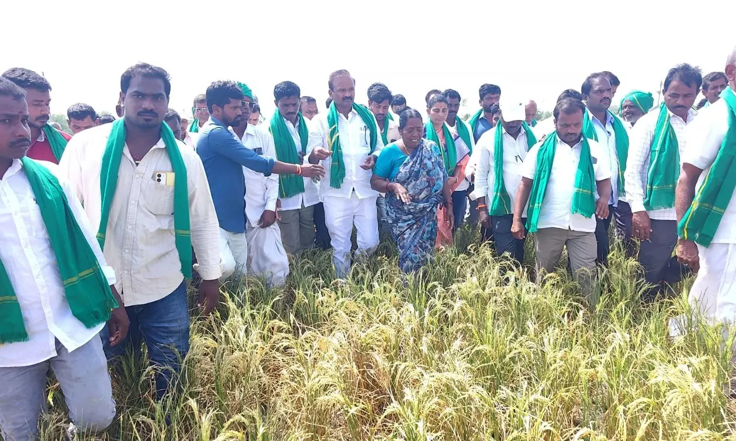 Devarakadra Devarakadra
