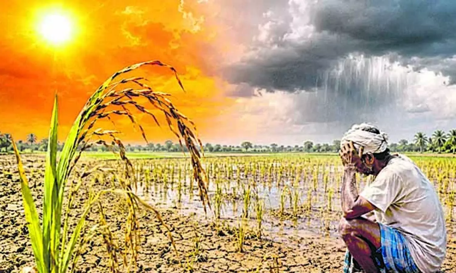 El Nino Impact in Telangana