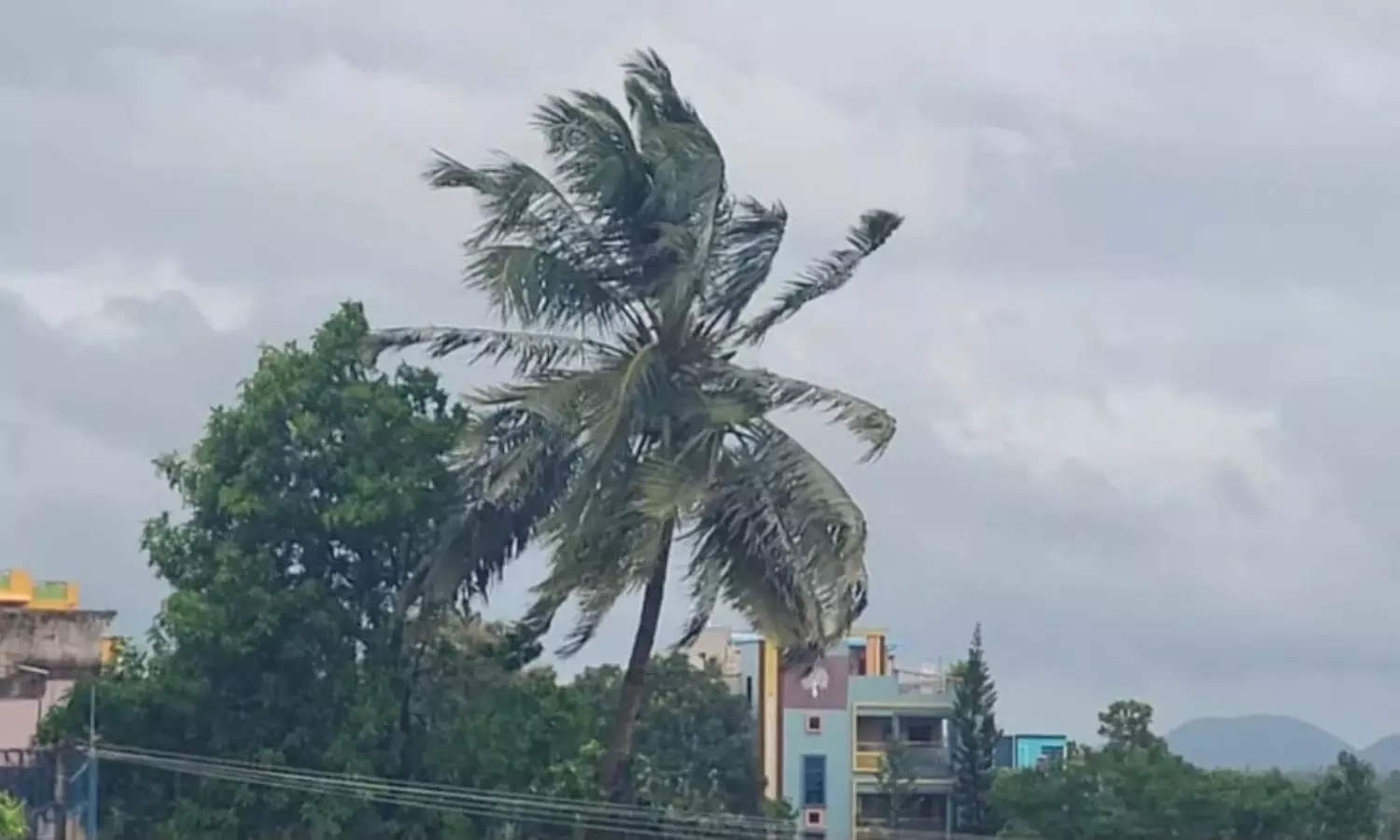 Eluru