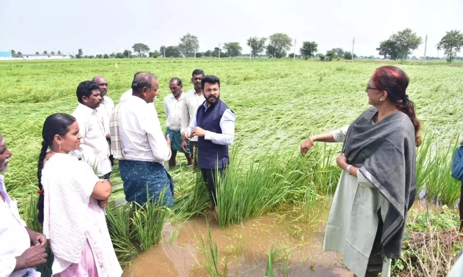 Tenali Tenali
