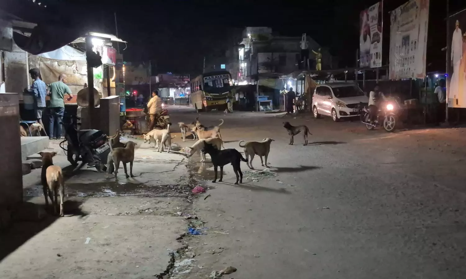 Nellore