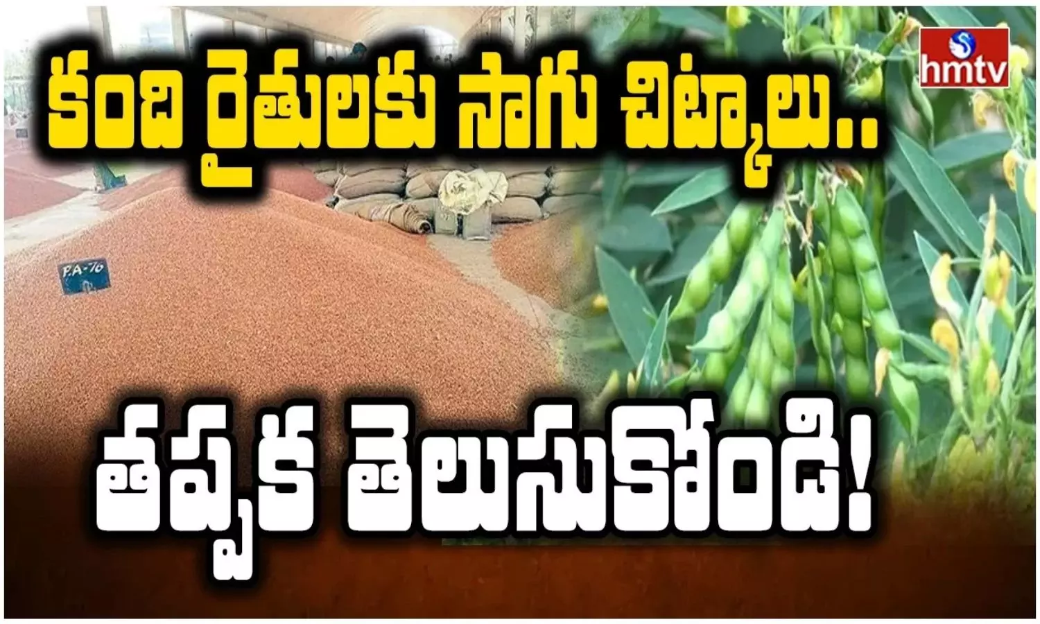 కంది రైతులకు అదిరిపోయే సాగు చిట్కాలు.. ఈ మెళకువలు పాటిస్తే పంట దిగుబడి డబుల్!